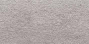 206  RL060120